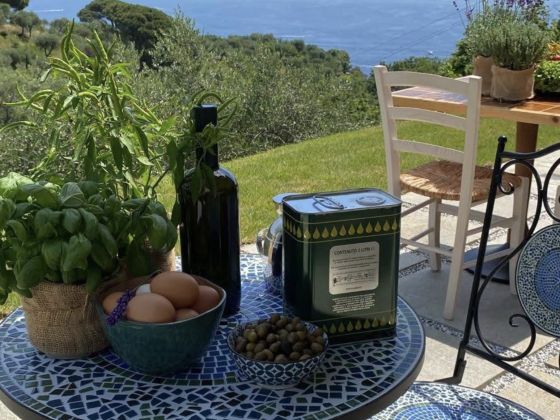 Terre Rosse Portofino - foto 3
